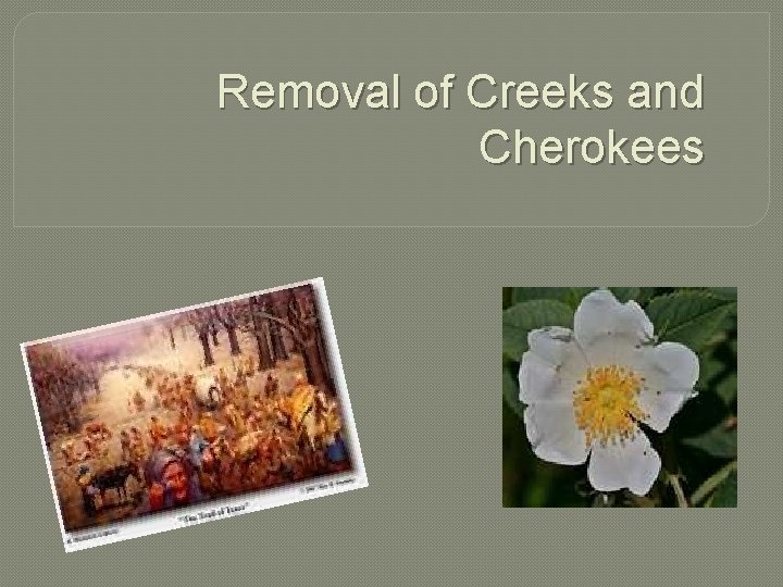 Removal of Creeks and Cherokees 