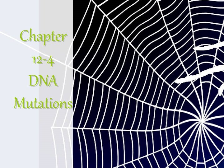 Chapter 12 -4 DNA Mutations 