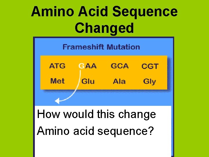 Amino Acid Sequence Changed How would this change Amino acid sequence? 