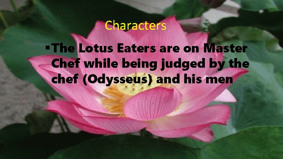 Characters § The Lotus Eaters are on Master Chef while being judged by the