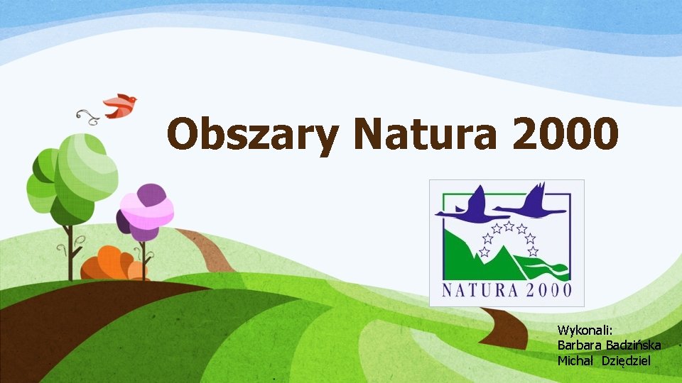 Obszary Natura 2000 Wykonali: Barbara Badzińska Michał Dziędziel 