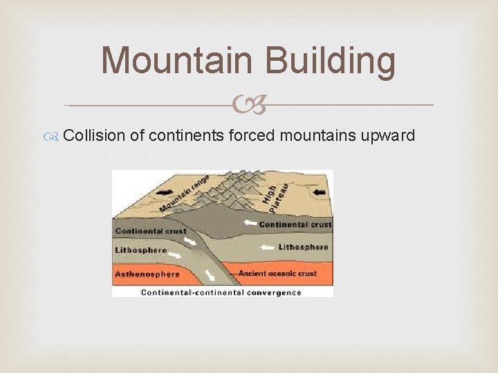 Mountain Building Collision of continents forced mountains upward 