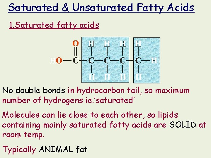 Saturated & Unsaturated Fatty Acids 1. Saturated fatty acids No double bonds in hydrocarbon Saturated & Unsaturated Fatty Acids 1. Saturated fatty acids No double bonds in hydrocarbon