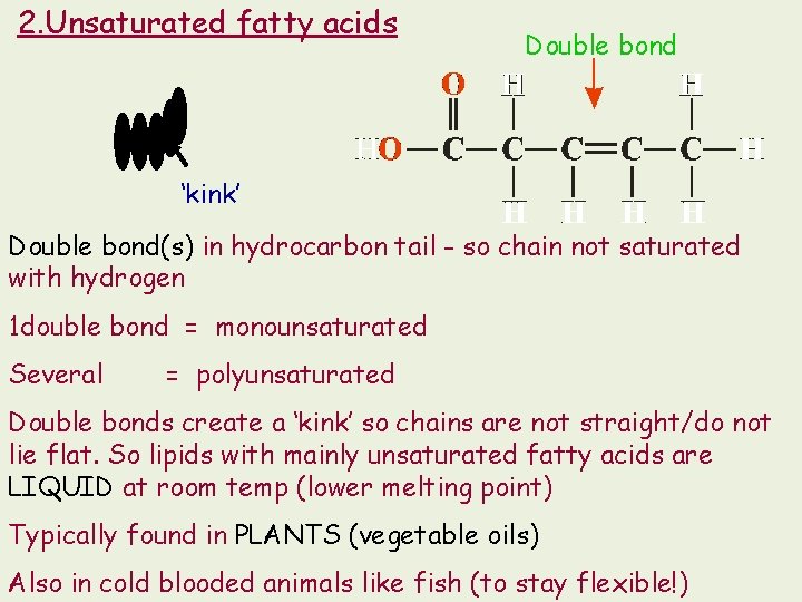 2. Unsaturated fatty acids Double bond ‘kink’ Double bond(s) in hydrocarbon tail - so 2. Unsaturated fatty acids Double bond ‘kink’ Double bond(s) in hydrocarbon tail - so