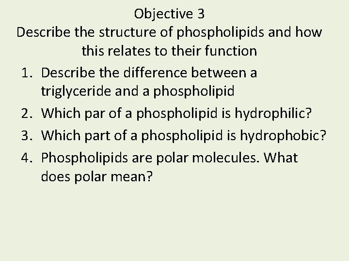Objective 3 Describe the structure of phospholipids and how this relates to their function Objective 3 Describe the structure of phospholipids and how this relates to their function