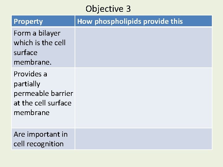 Objective 3 Describe of phospholipids and how Property the structure How phospholipids provide this Objective 3 Describe of phospholipids and how Property the structure How phospholipids provide this