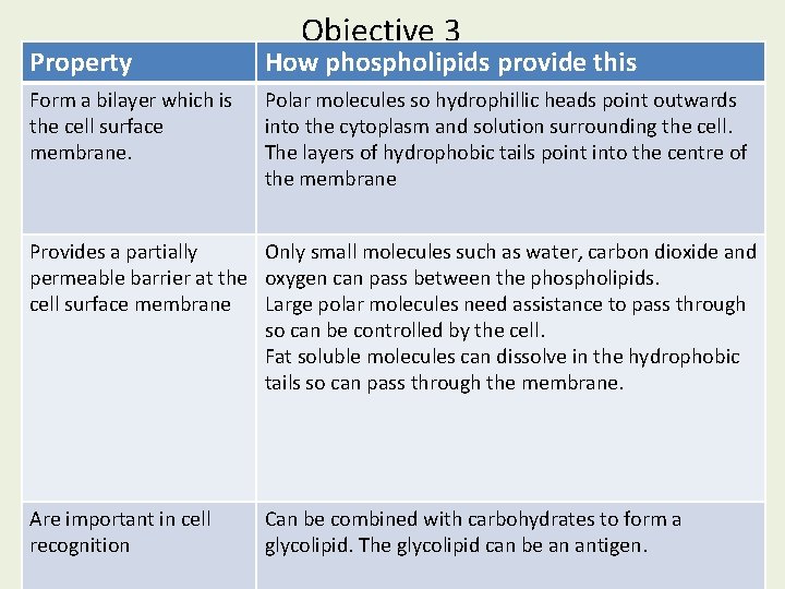 Objective 3 Property How phospholipids provide this Describe the structure of phospholipids and how Objective 3 Property How phospholipids provide this Describe the structure of phospholipids and how