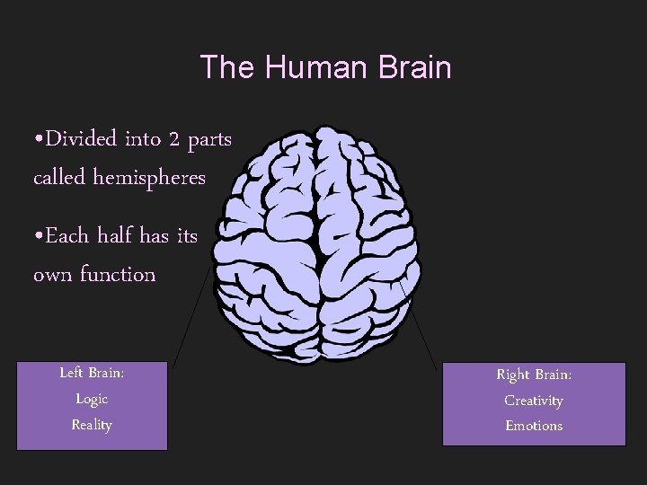 The Human Brain • Divided into 2 parts called hemispheres • Each half has