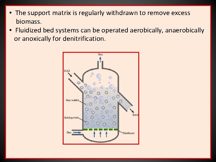  • The support matrix is regularly withdrawn to remove excess biomass. • Fluidized