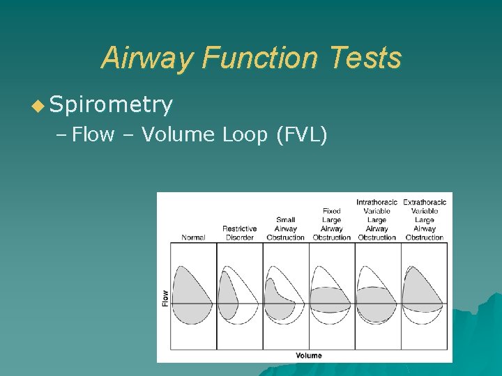 Airway Function Tests u Spirometry – Flow – Volume Loop (FVL) 