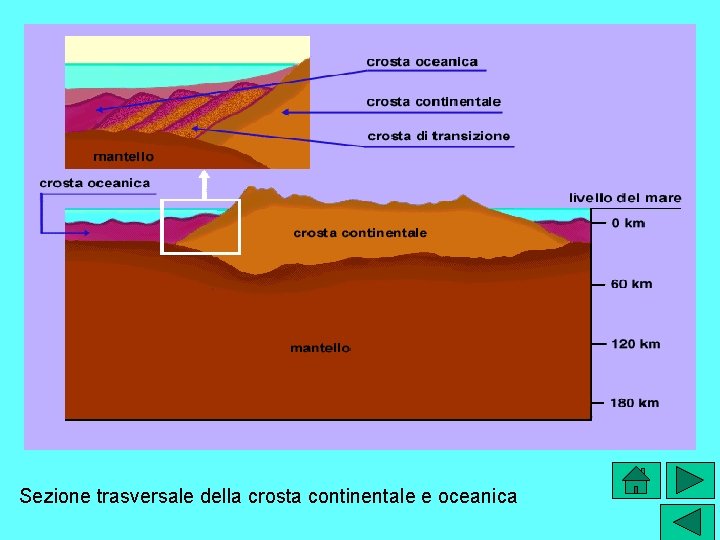 Sezione trasversale della crosta continentale e oceanica 