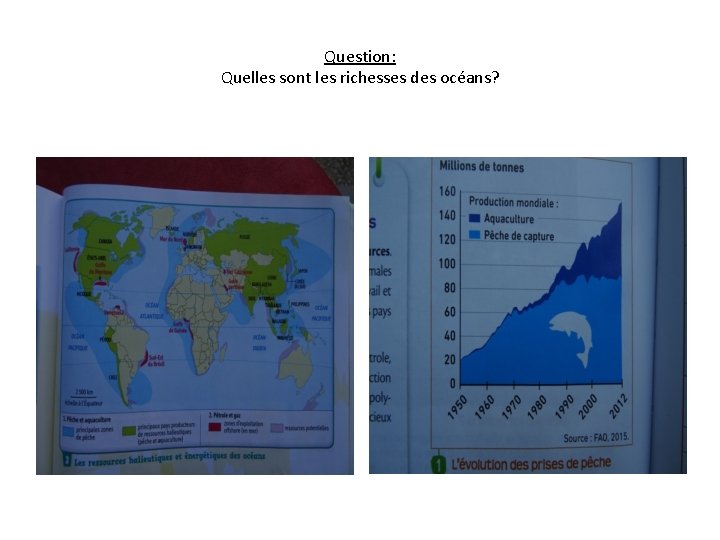 Question: Quelles sont les richesses des océans? 