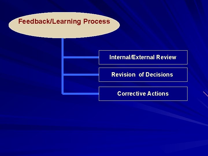 Feedback/Learning Process Internal/External Review Revision of Decisions Corrective Actions 
