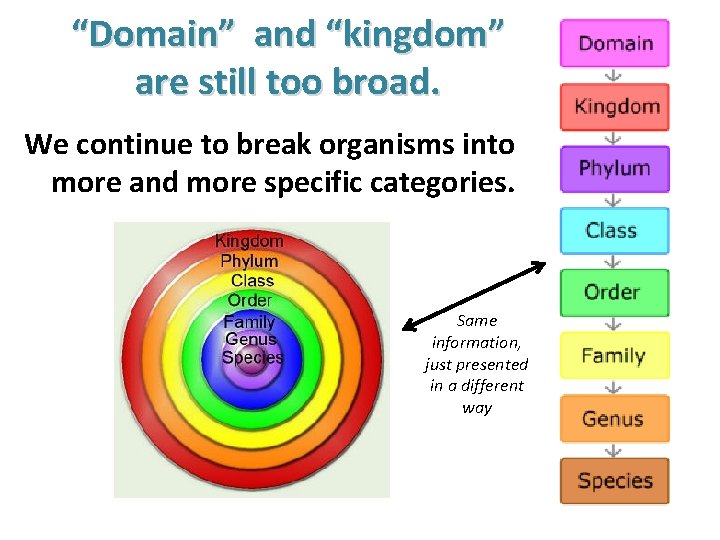 “Domain” and “kingdom” are still too broad. We continue to break organisms into more