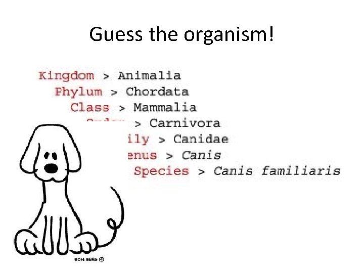 Guess the organism! 