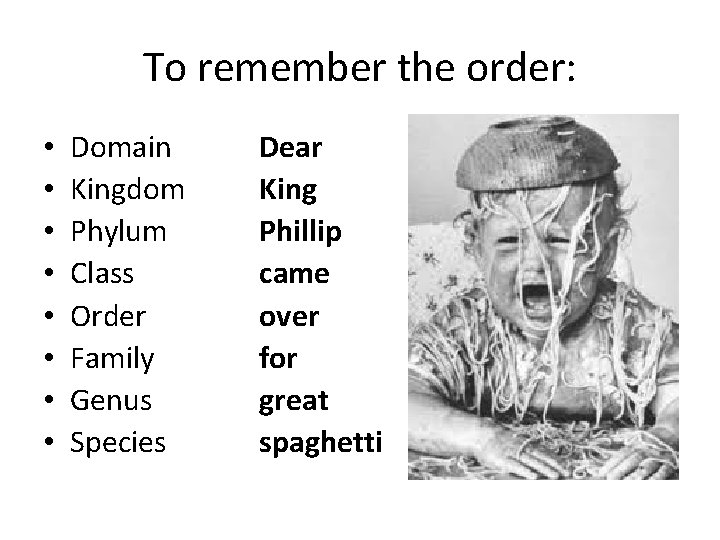 To remember the order: • • Domain Kingdom Phylum Class Order Family Genus Species