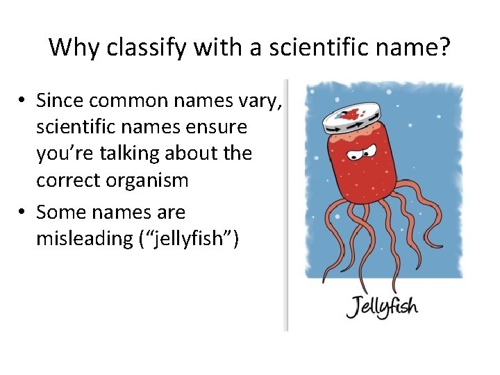 Why classify with a scientific name? • Since common names vary, scientific names ensure