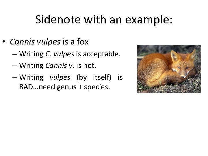 Sidenote with an example: • Cannis vulpes is a fox – Writing C. vulpes