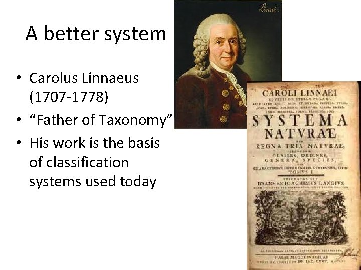 A better system • Carolus Linnaeus (1707 -1778) • “Father of Taxonomy” • His