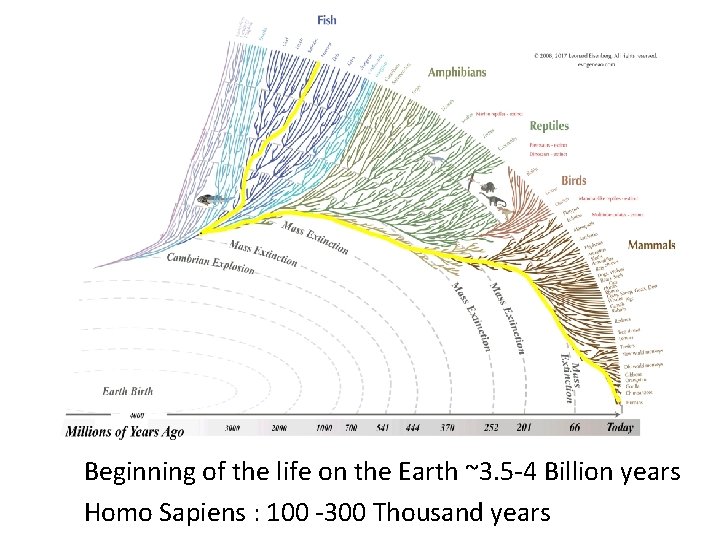 Beginning of the life on the Earth ~3. 5 -4 Billion years Homo Sapiens