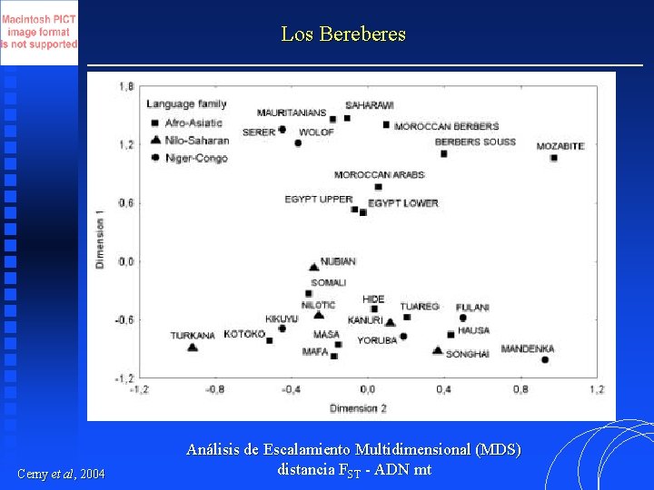 Los Bereberes Cerny et al, 2004 Análisis de Escalamiento Multidimensional (MDS) distancia FST -