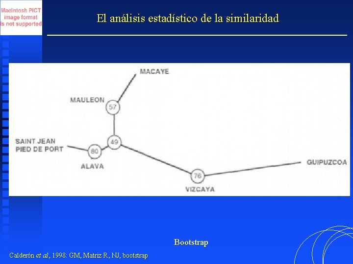 El análisis estadístico de la similaridad Bootstrap Calderón et al, 1998: GM, Matriz R,