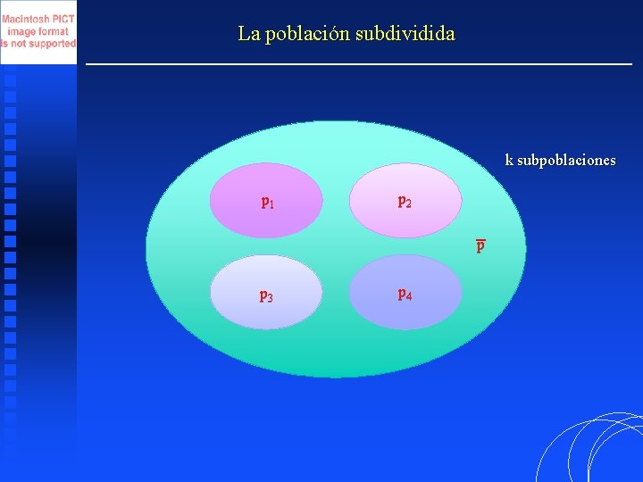 La población subdividida k subpoblaciones p 1 p 2 p p 3 p 4