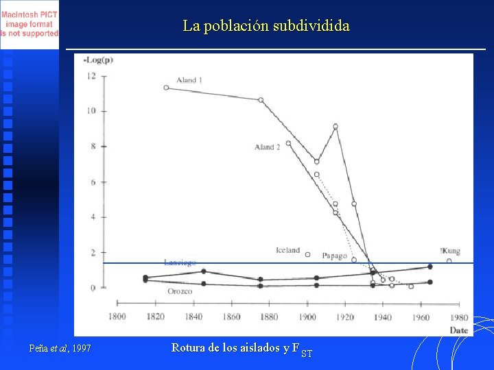 La población subdividida Peña et al, 1997 Rotura de los aislados y F ST