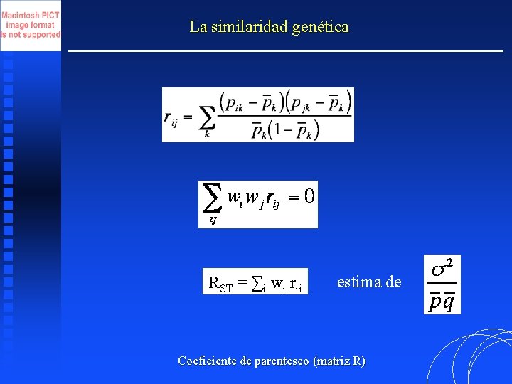 La similaridad genética RST = ∑i wi rii estima de Coeficiente de parentesco (matriz