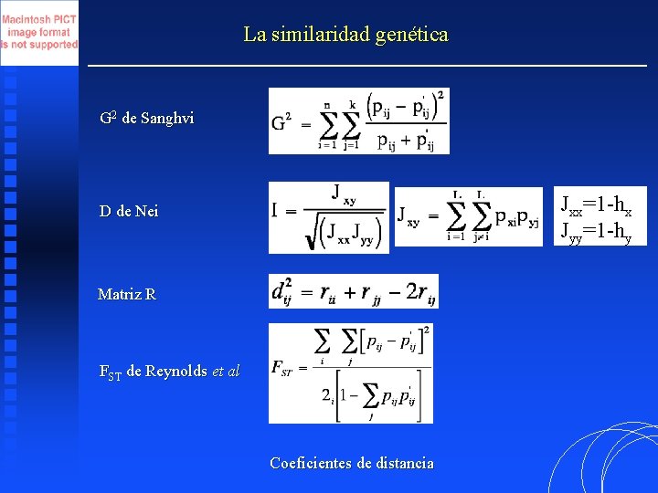 La similaridad genética G 2 de Sanghvi Jxx=1 -hx Jyy=1 -hy D de Nei