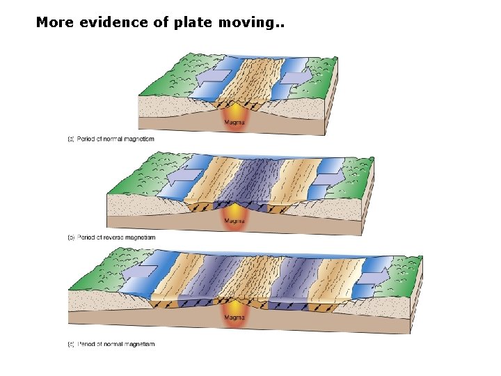 More evidence of plate moving. . 
