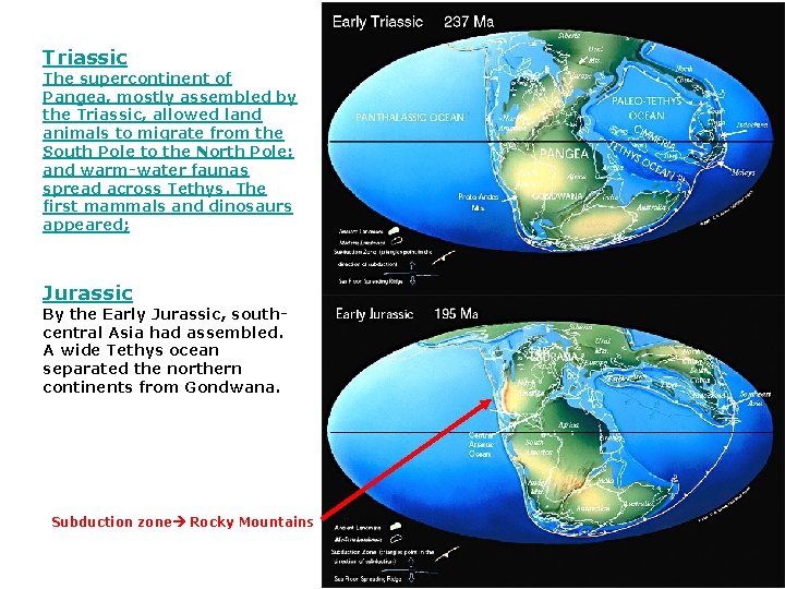 Triassic The supercontinent of Pangea, mostly assembled by the Triassic, allowed land animals to