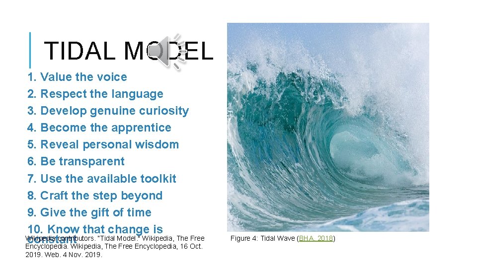TIDAL MODEL 1. Value the voice 2. Respect the language 3. Develop genuine curiosity