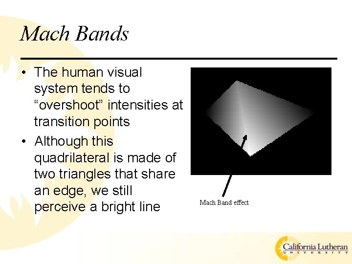 Mach Bands • The human visual system tends to “overshoot” intensities at transition points