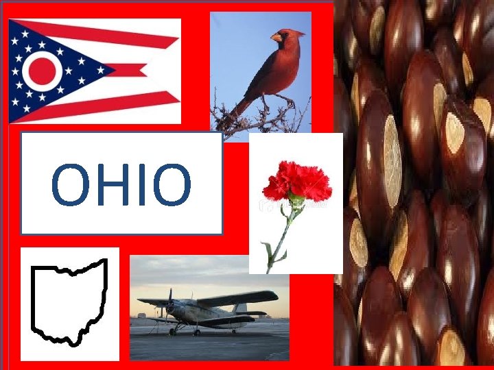 OHIO 