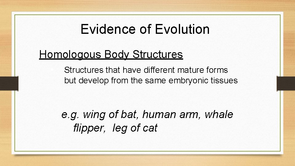 Evidence of Evolution Homologous Body Structures • Structures that have different mature forms but