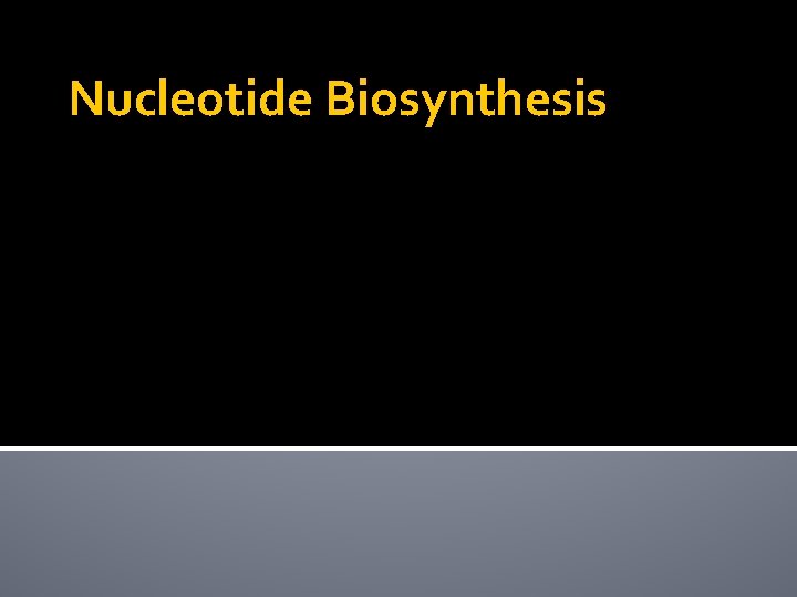 Nucleotide Biosynthesis 