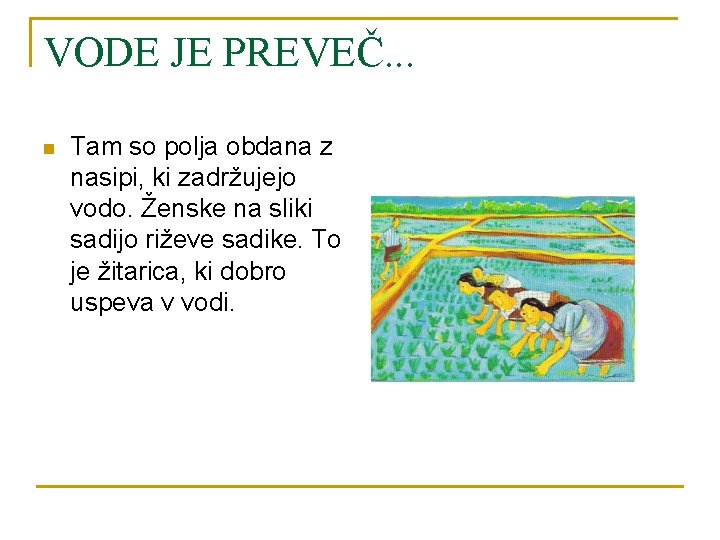 VODE JE PREVEČ. . . n Tam so polja obdana z nasipi, ki zadržujejo