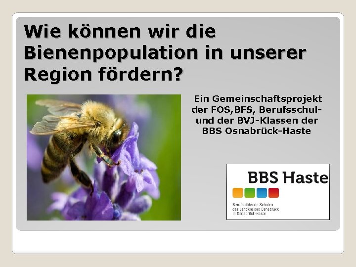 Wie können wir die Bienenpopulation in unserer Region fördern? Ein Gemeinschaftsprojekt der FOS, BFS,