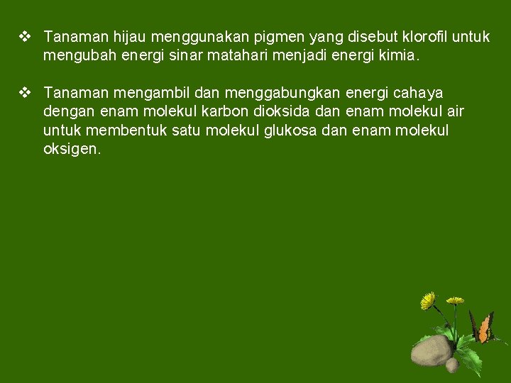 v Tanaman hijau menggunakan pigmen yang disebut klorofil untuk mengubah energi sinar matahari menjadi
