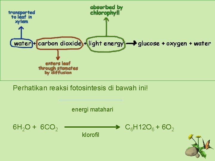 Perhatikan reaksi fotosintesis di bawah ini! energi matahari 6 H 2 O + 6