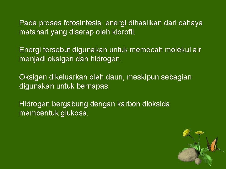 Pada proses fotosintesis, energi dihasilkan dari cahaya matahari yang diserap oleh klorofil. Energi tersebut