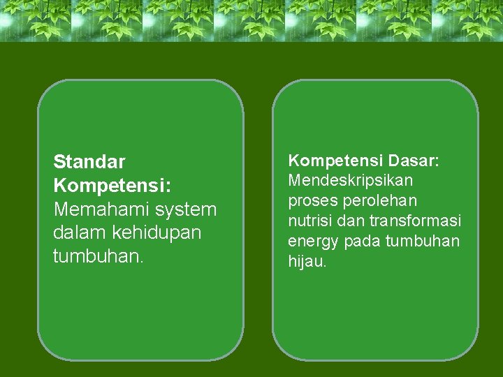 Standar Kompetensi: Memahami system dalam kehidupan tumbuhan. Kompetensi Dasar: Mendeskripsikan proses perolehan nutrisi dan