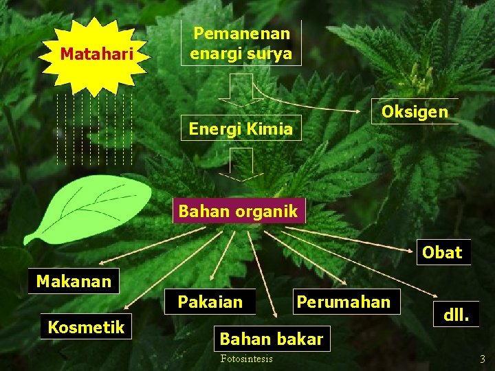 Matahari Pemanenan enargi surya Oksigen Energi Kimia Bahan organik Obat Makanan Pakaian Kosmetik Perumahan