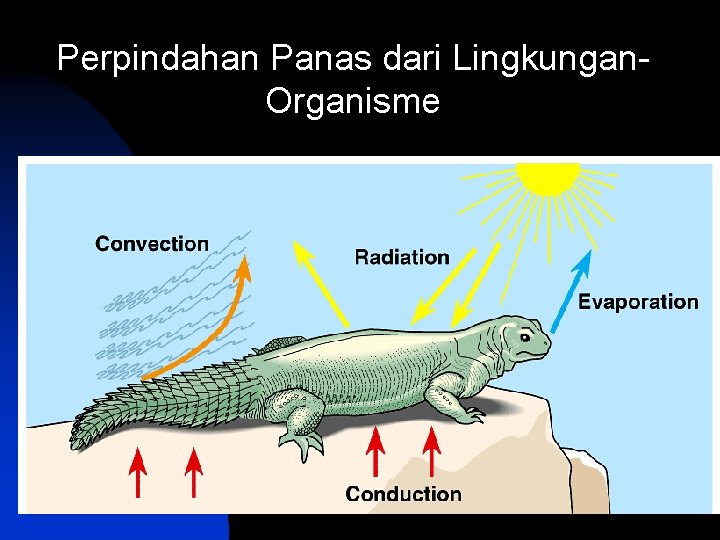 Perpindahan Panas dari Lingkungan. Organisme 