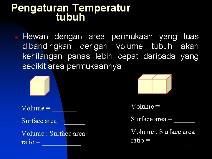 Pengaturan Temperatur tubuh n Hewan dengan area permukaan yang luas dibandingkan dengan volume tubuh