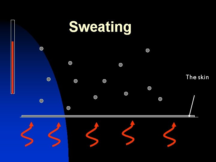 Sweating The skin 