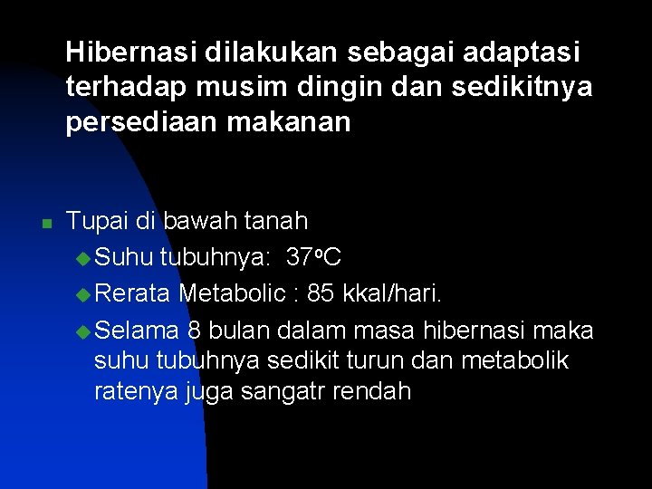 Hibernasi dilakukan sebagai adaptasi terhadap musim dingin dan sedikitnya persediaan makanan n Tupai di