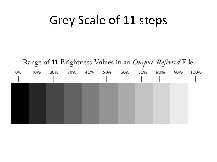 Grey Scale of 11 steps 