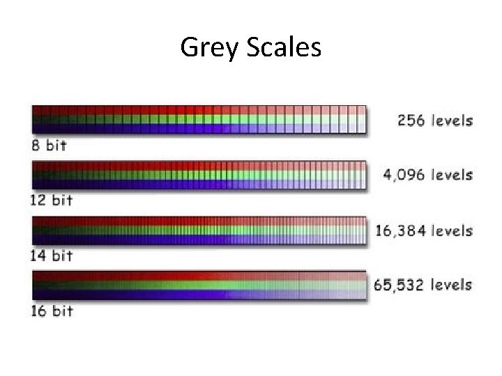 Grey Scales 